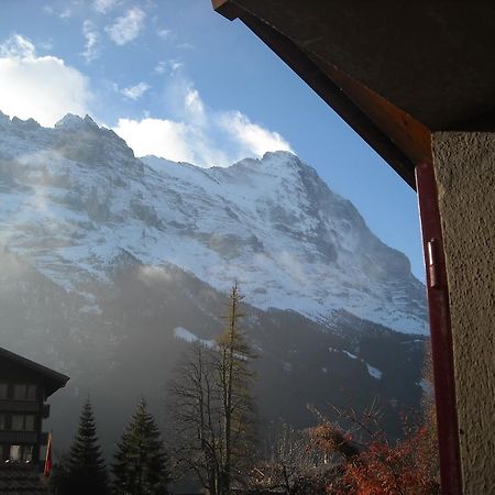 Pfaffenstoeckli Apartment Grindelwald Ngoại thất bức ảnh