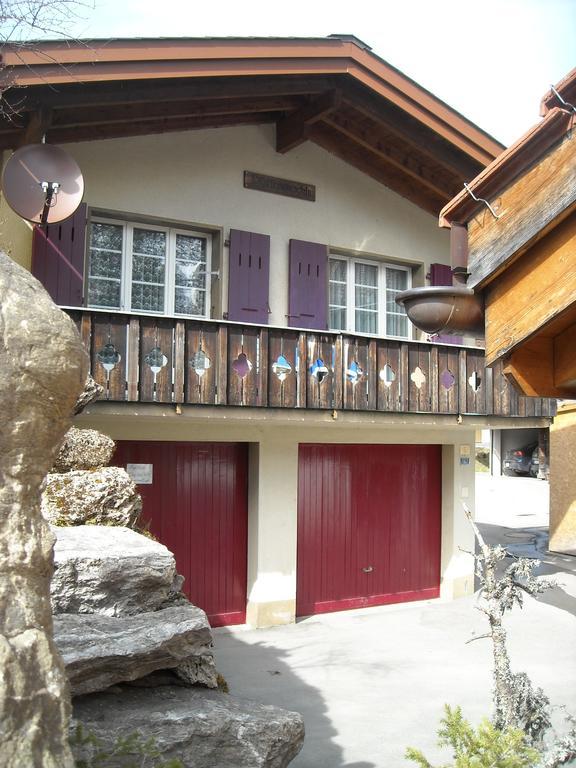 Pfaffenstoeckli Apartment Grindelwald Ngoại thất bức ảnh