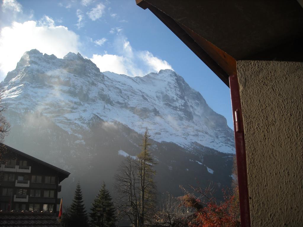 Pfaffenstoeckli Apartment Grindelwald Ngoại thất bức ảnh