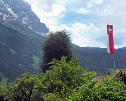 Pfaffenstoeckli Apartment Grindelwald Ngoại thất bức ảnh