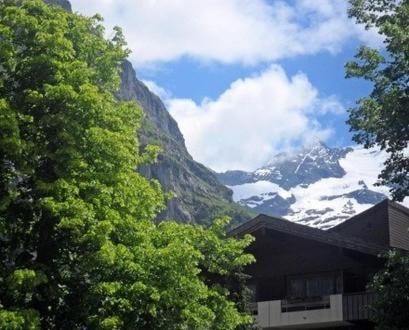 Pfaffenstoeckli Apartment Grindelwald Phòng bức ảnh