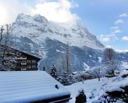Pfaffenstoeckli Apartment Grindelwald Phòng bức ảnh